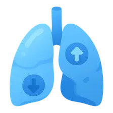 V/Q ratio and gas exchange