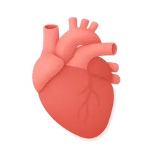 Preventive cardiology