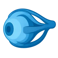 Orbital Anatomy