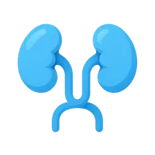 Congenital renal anomalies