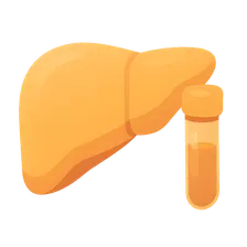 Liver Function Tests