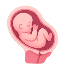 Vaginal Birth After Cesarean