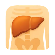 Imaging of Liver