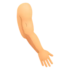 Upper limb surface landmarks