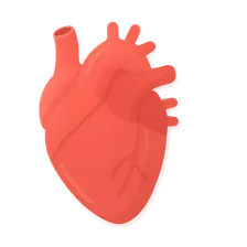 Cardiovascular Physiology