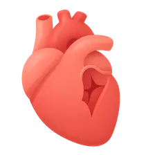 Valvular Heart Disease
