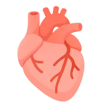 Coronary artery bypass grafting indications