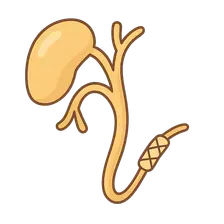 Biliary Interventions