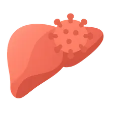 Viral Infections (Hepatitis, Herpes, etc.)