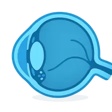 Secondary Open-Angle Glaucomas
