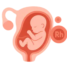 Rh Isoimmunization and Other Blood Group Incompatibilities