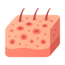 Cutaneous Manifestations of Malaria