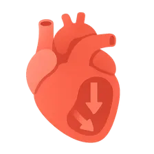 Ventricular filling dynamics