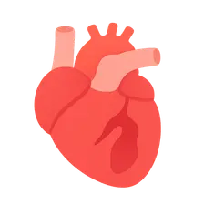 Cardiomyopathies