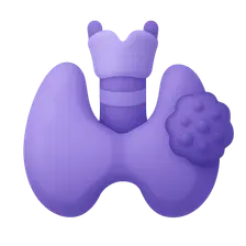 Thyroid Cancer