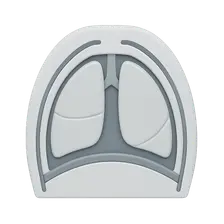 Thoracic fascial planes