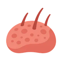 Cellular components of inflammation