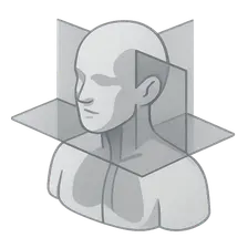Anatomical planes and reference lines