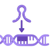 miRNA and RNA Interference