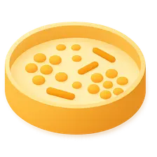 Microbial Growth and Nutrition