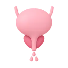 Stress Urinary Incontinence
