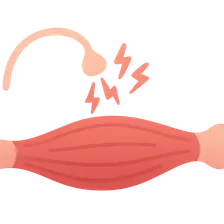 Skeletal Muscle Contraction