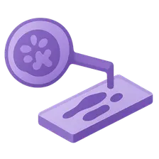 Ancillary Studies in Cytopathology