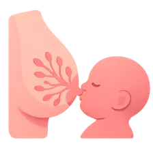 Lactation