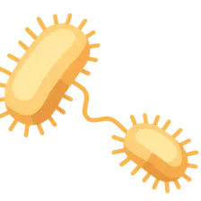 Horizontal gene transfer mechanisms