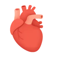 Hypertensive heart disease