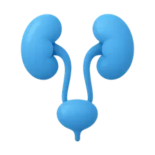 Renal and Urinary Tract Imaging