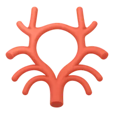 Communicating arteries