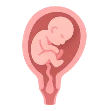 Parturition