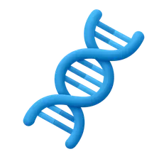 DNA Structure and Replication