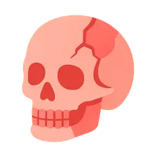 Anatomical Basis of Trauma