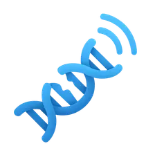 DNA damage response signaling