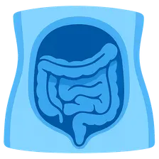 Peritoneum and Peritoneal Cavity