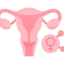 Hormonal Influences on Sexual Function