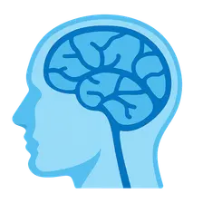 Dural Venous Sinuses