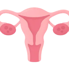 Female reproductive cycle phases