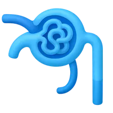 Tubuloglomerular feedback