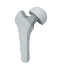 Imaging of Prostheses and Implants