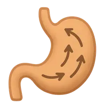 GI motility patterns and regulation