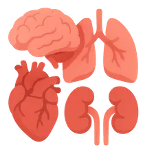 Multi-organ Dysfunction Syndrome