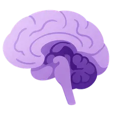 Basal Ganglia
