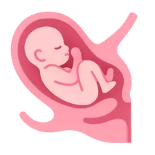 Dystocia and Abnormal Labor Patterns