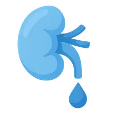 Titratable acid excretion