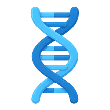 DNA structure and organization