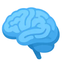 Applied Neuroanatomy