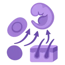 Molecular Mechanisms in Development